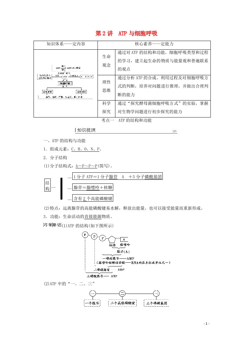 2022届高考生物一轮复习第三单元细胞的能量供应和利用第2讲ATP与细胞呼吸教案新人教版