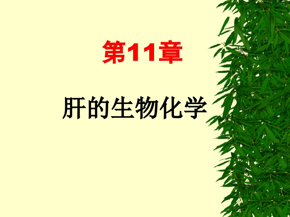 专科生物化学肝的生物学ppt课件