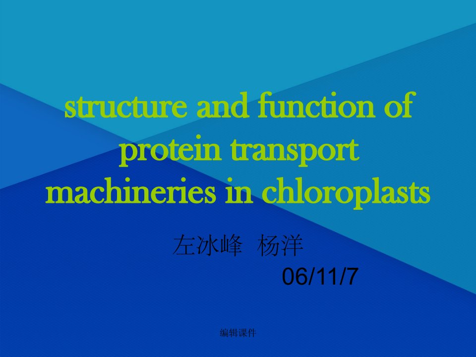 前体蛋白与叶绿体外表面结合