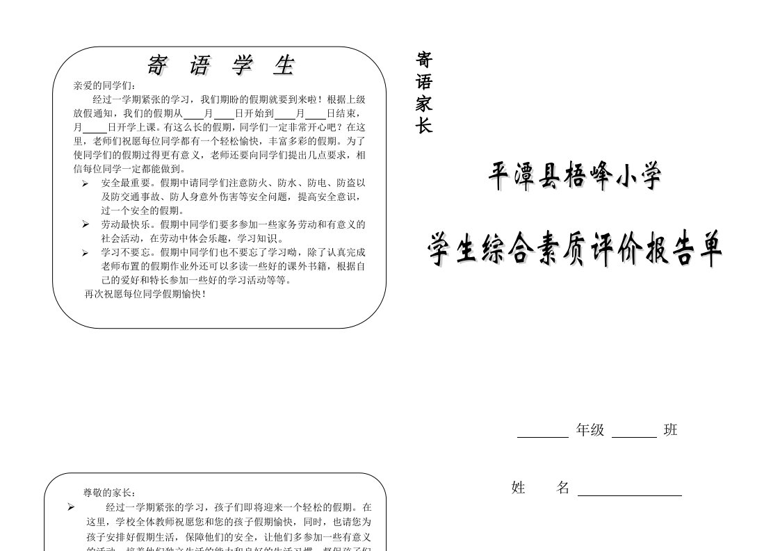 小学生综合素质评价报告单