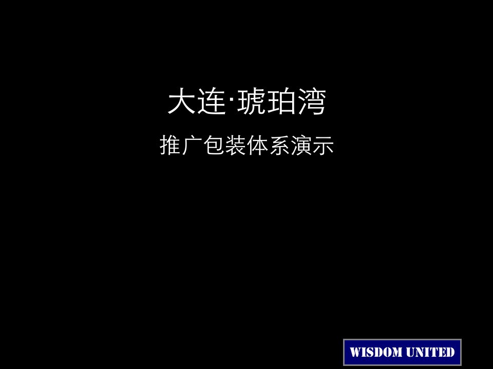 大连琥珀湾大盘项目推广包装体系演示-智联东方