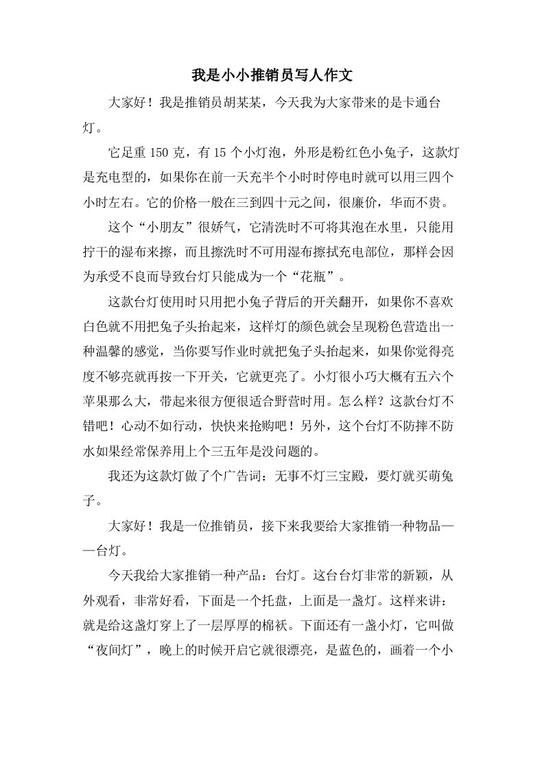 我是小小推销员写人作文