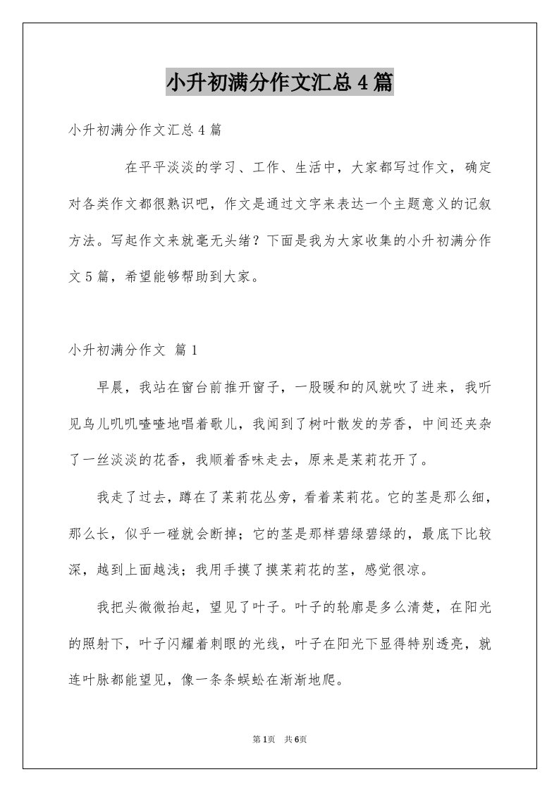 小升初满分作文汇总4篇