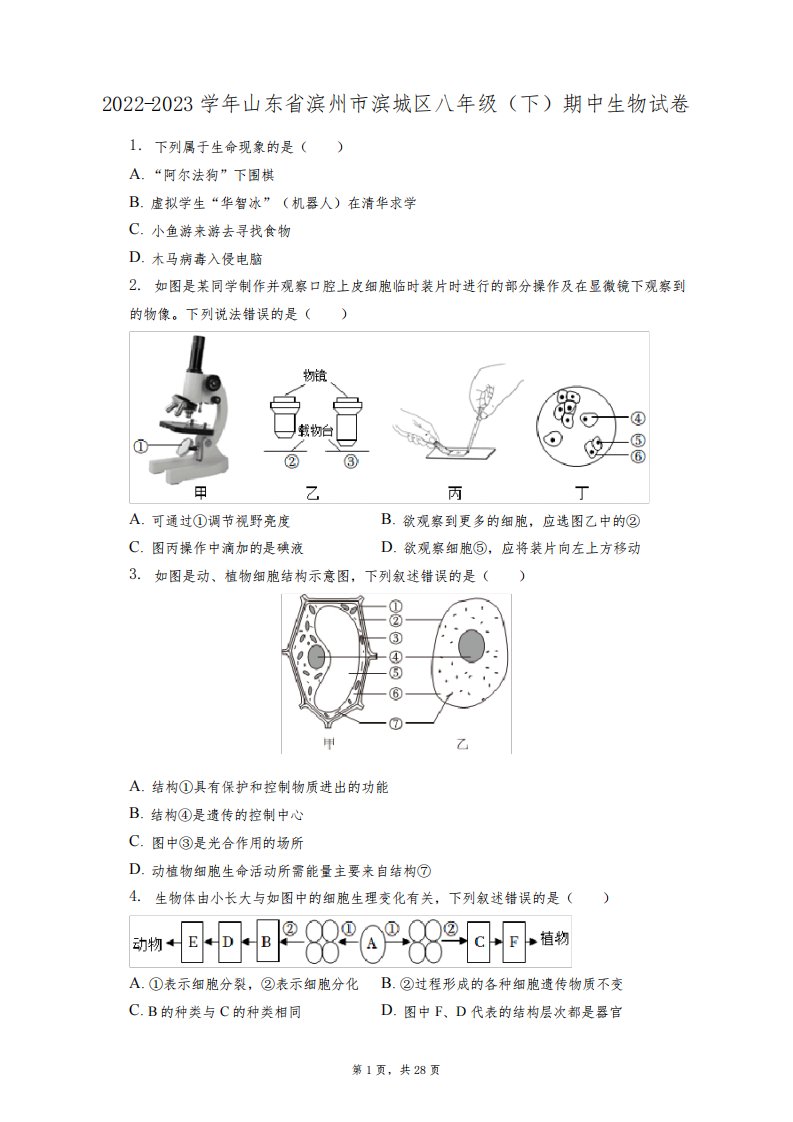 2022-2023学年山东省滨州市滨城区八年级(下)期中生物试卷(附答案详解)