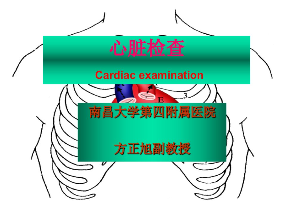 诊断学-心脏检查