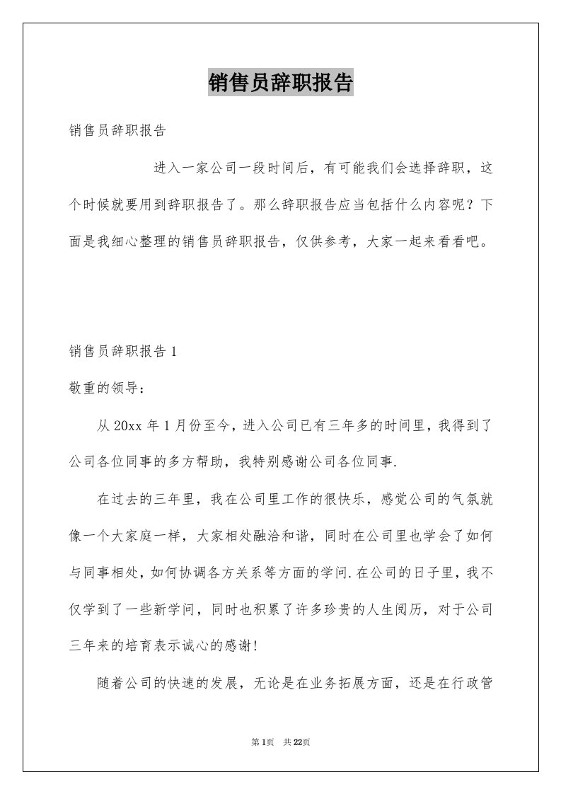 销售员辞职报告例文5