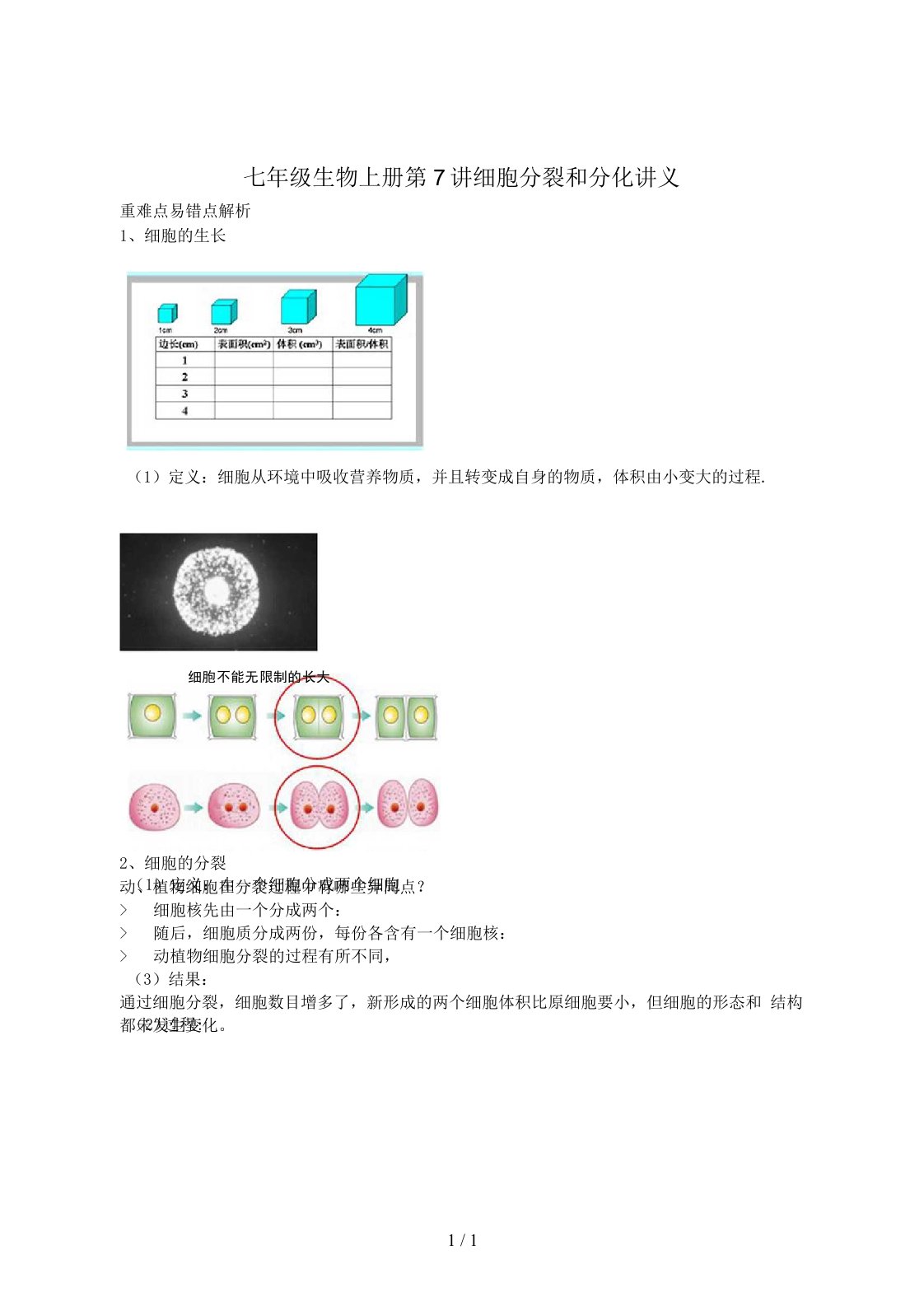 七年级生物上册第7讲细胞分裂和分化讲义