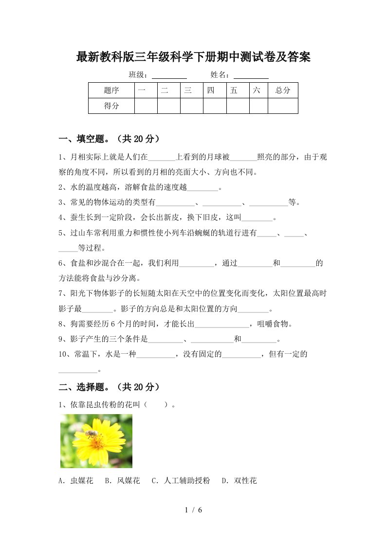 最新教科版三年级科学下册期中测试卷及答案