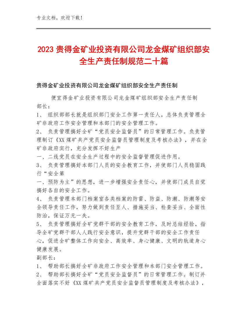 2023贵得金矿业投资有限公司龙金煤矿组织部安全生产责任制规范二十篇