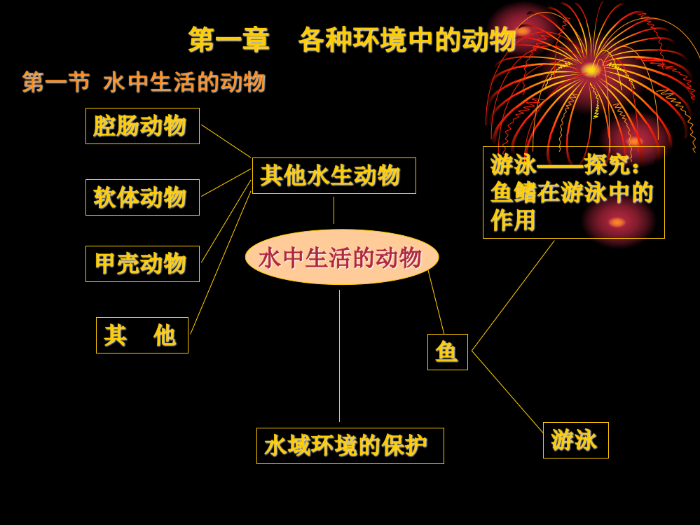 八年级生物上中期复习