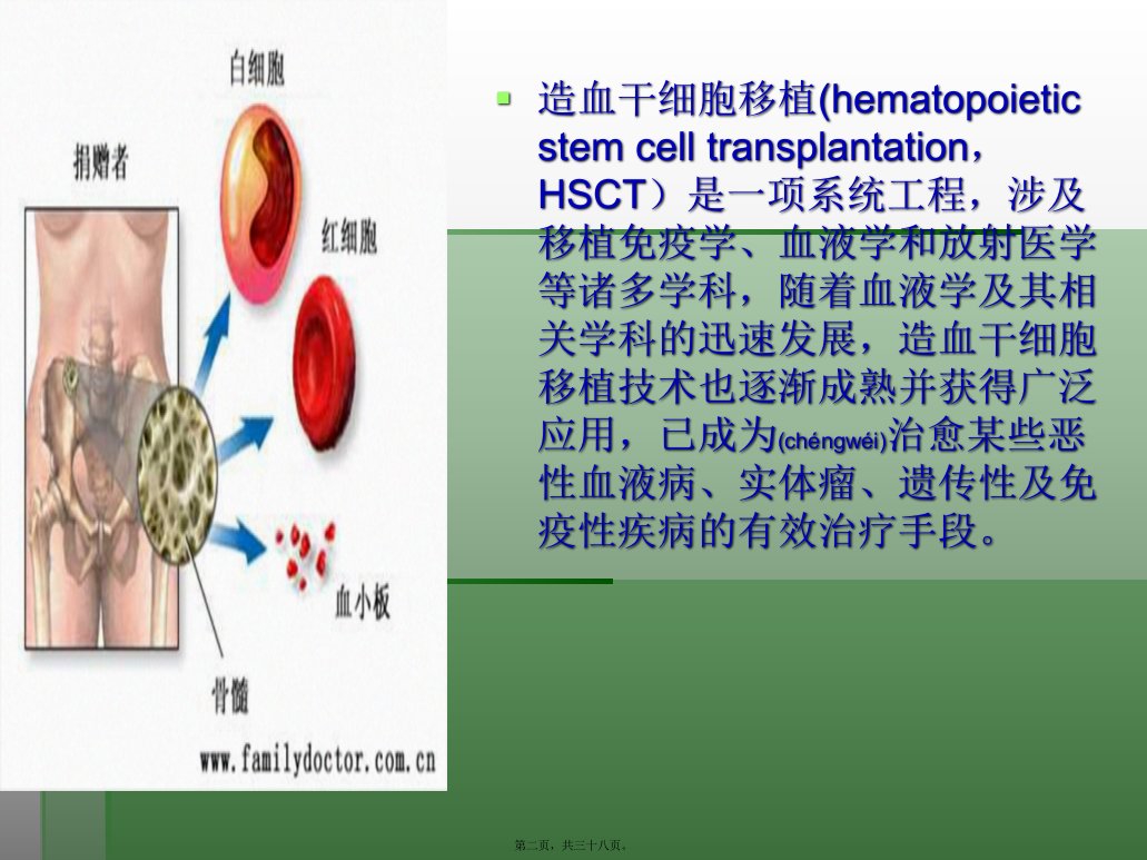 医学专题外周血干细胞移植