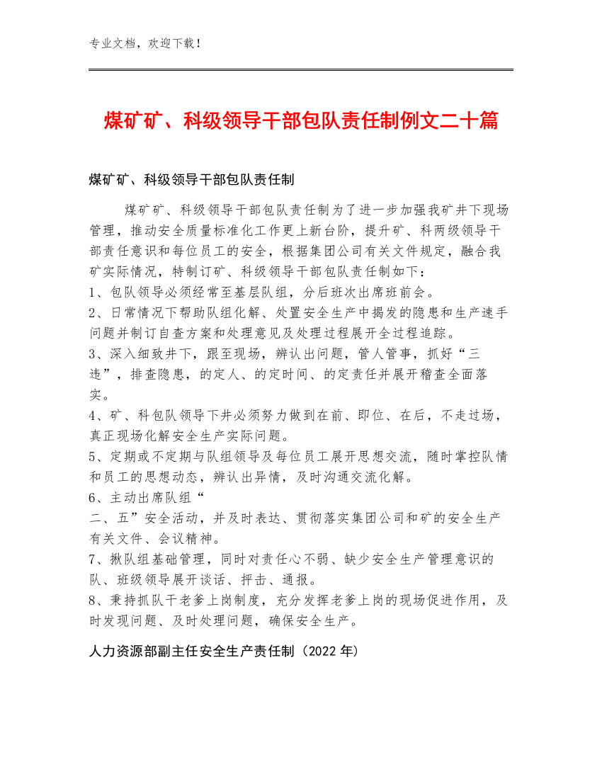 煤矿矿、科级领导干部包队责任制例文二十篇