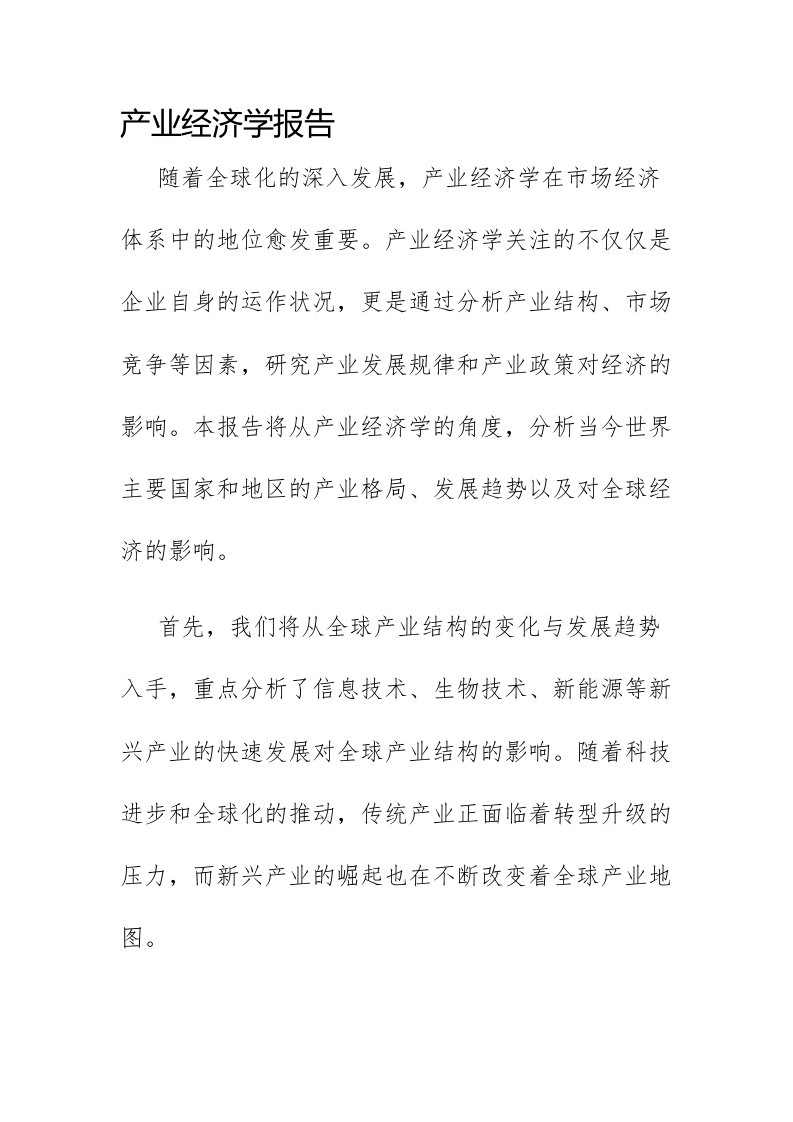 产业经济学报告