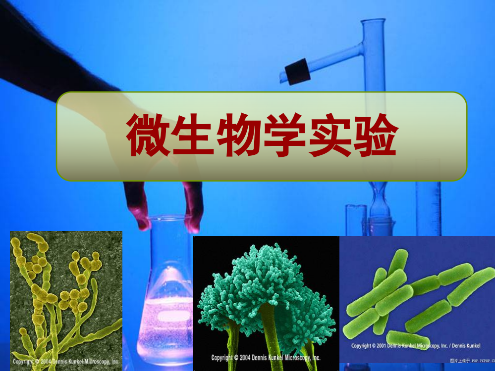 微生物实验实验一培养基的配制和灭菌法ppt课件