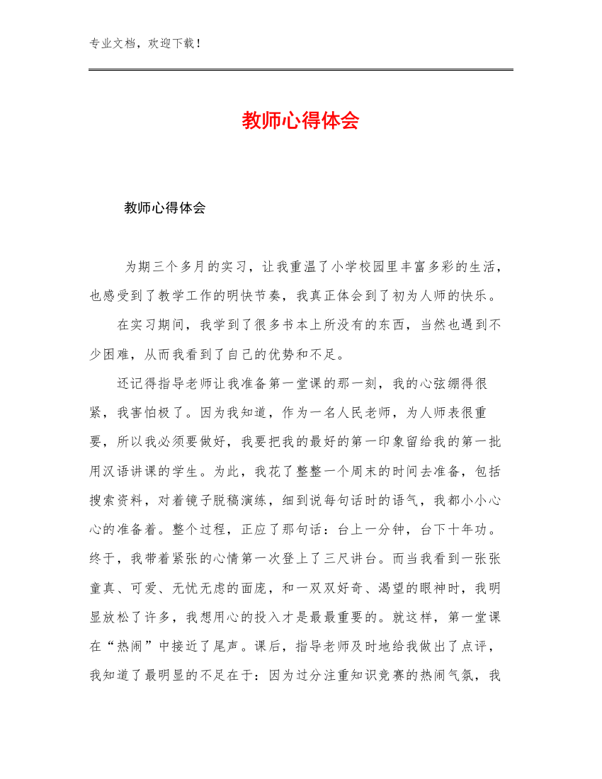 2023教师心得体会例文21篇