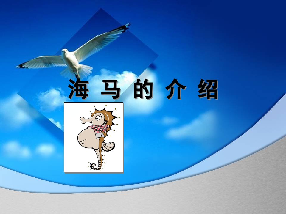 海马-课件·PPT