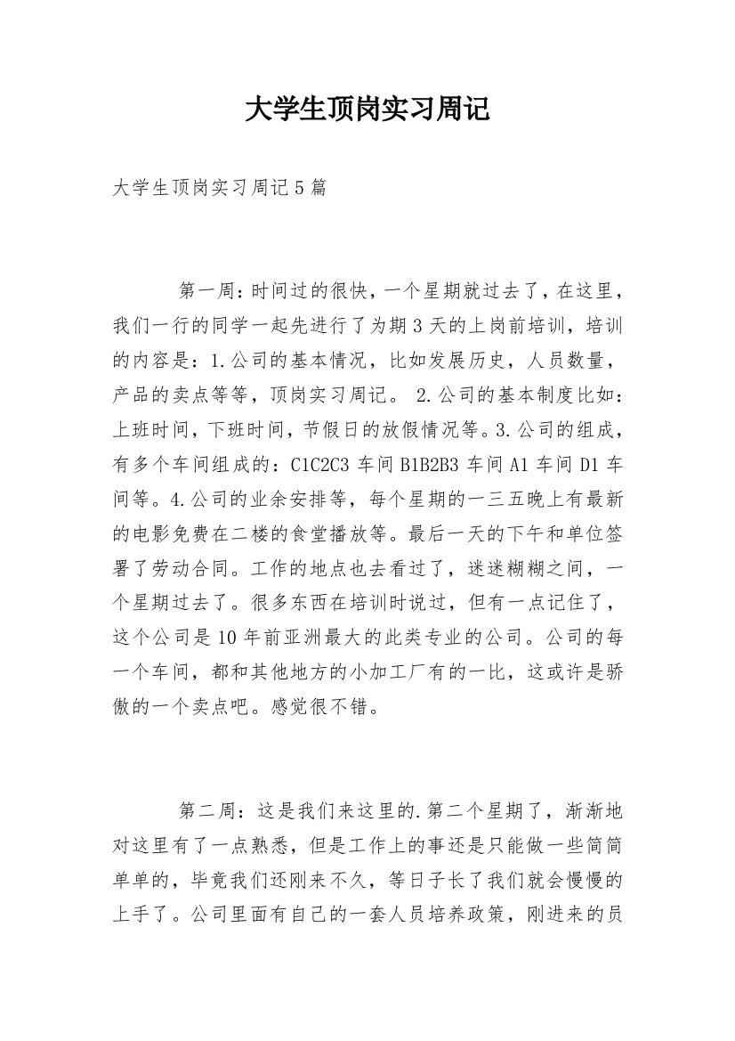 大学生顶岗实习周记_13