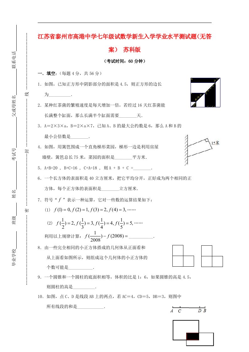 江苏省泰州市高港中学七级试数学新生入学学业水平测试题（无答案）