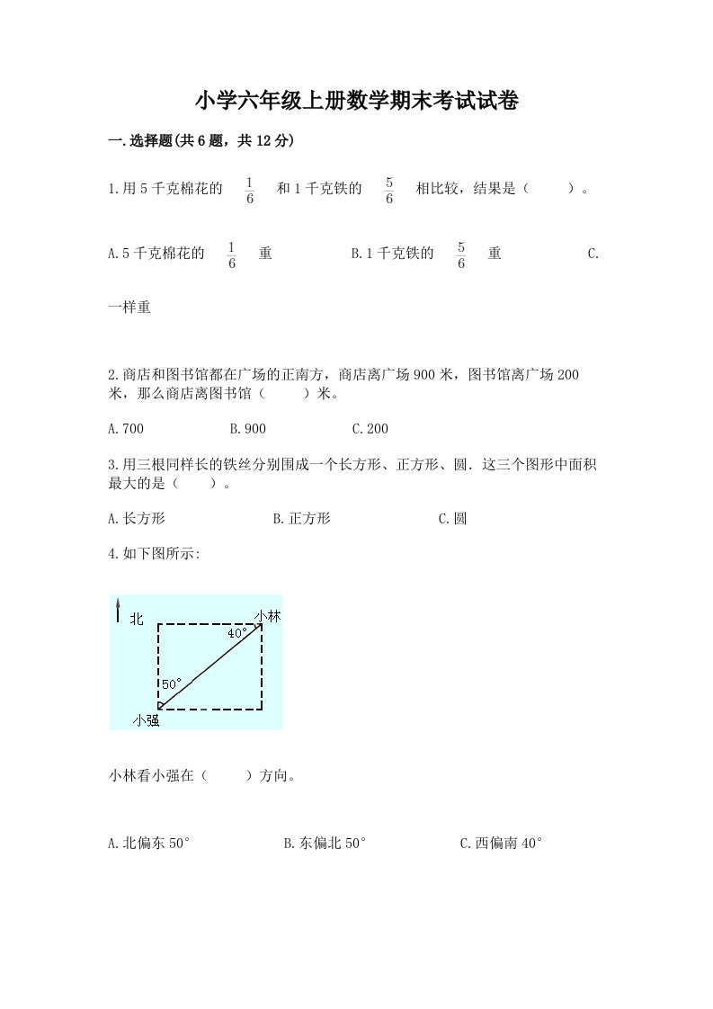 小学六年级上册数学期末考试试卷及完整答案一套