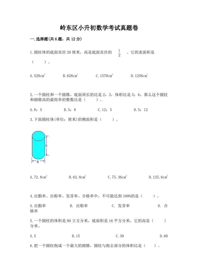 岭东区小升初数学考试真题卷必考题