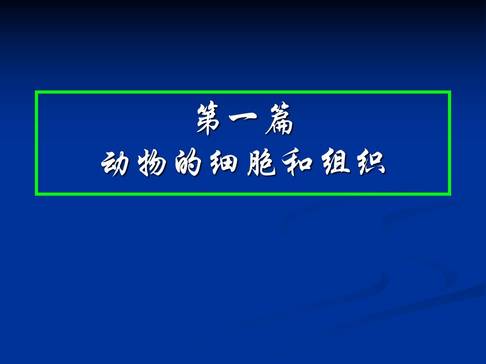 2第一篇+动物的组织和细胞