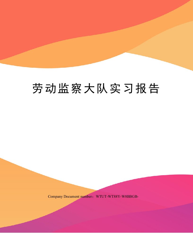 劳动监察大队实习报告