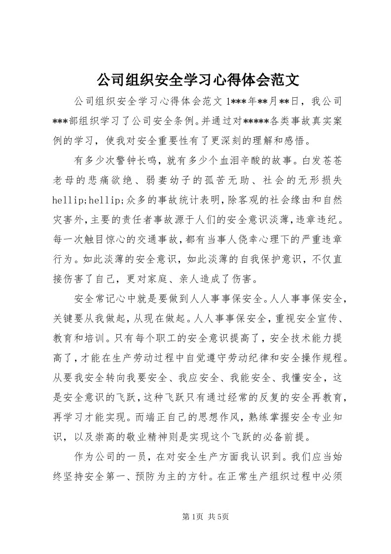 公司组织安全学习心得体会范文