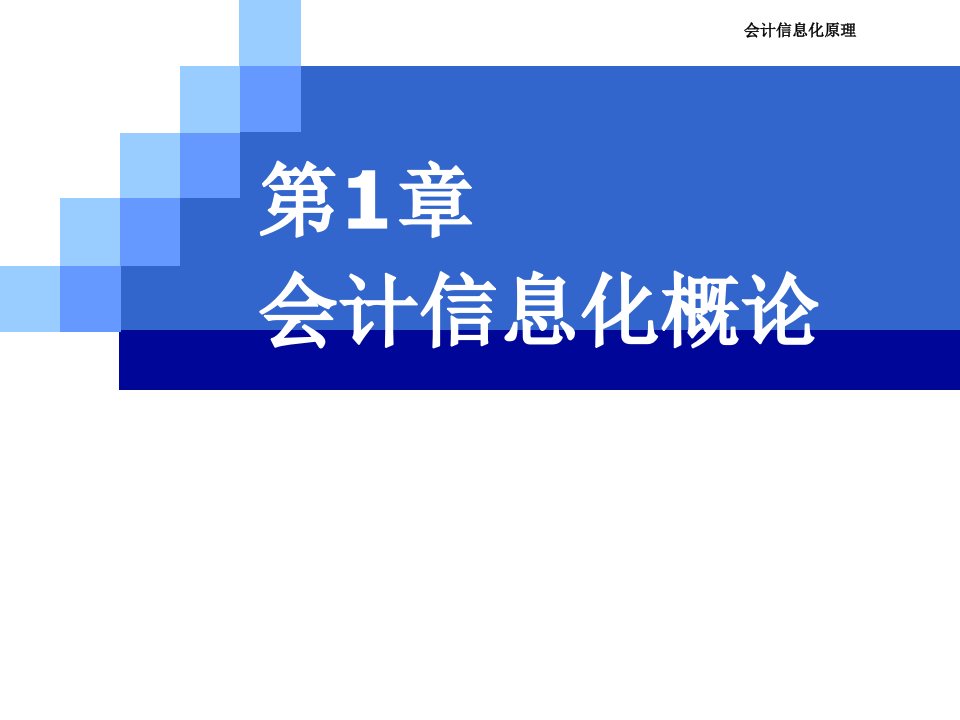 会计信息化概论