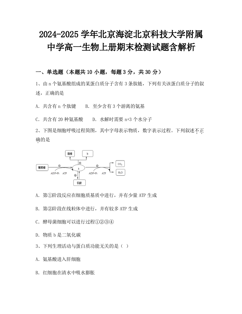 2024-2025学年北京海淀北京科技大学附属中学高一生物上册期末检测试题含解析