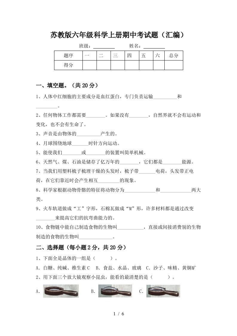 苏教版六年级科学上册期中考试题汇编