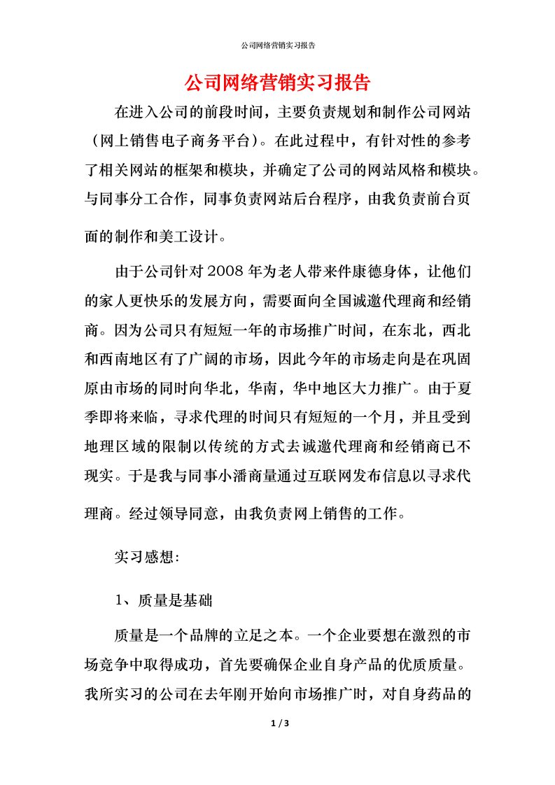 精编公司网络营销实习报告