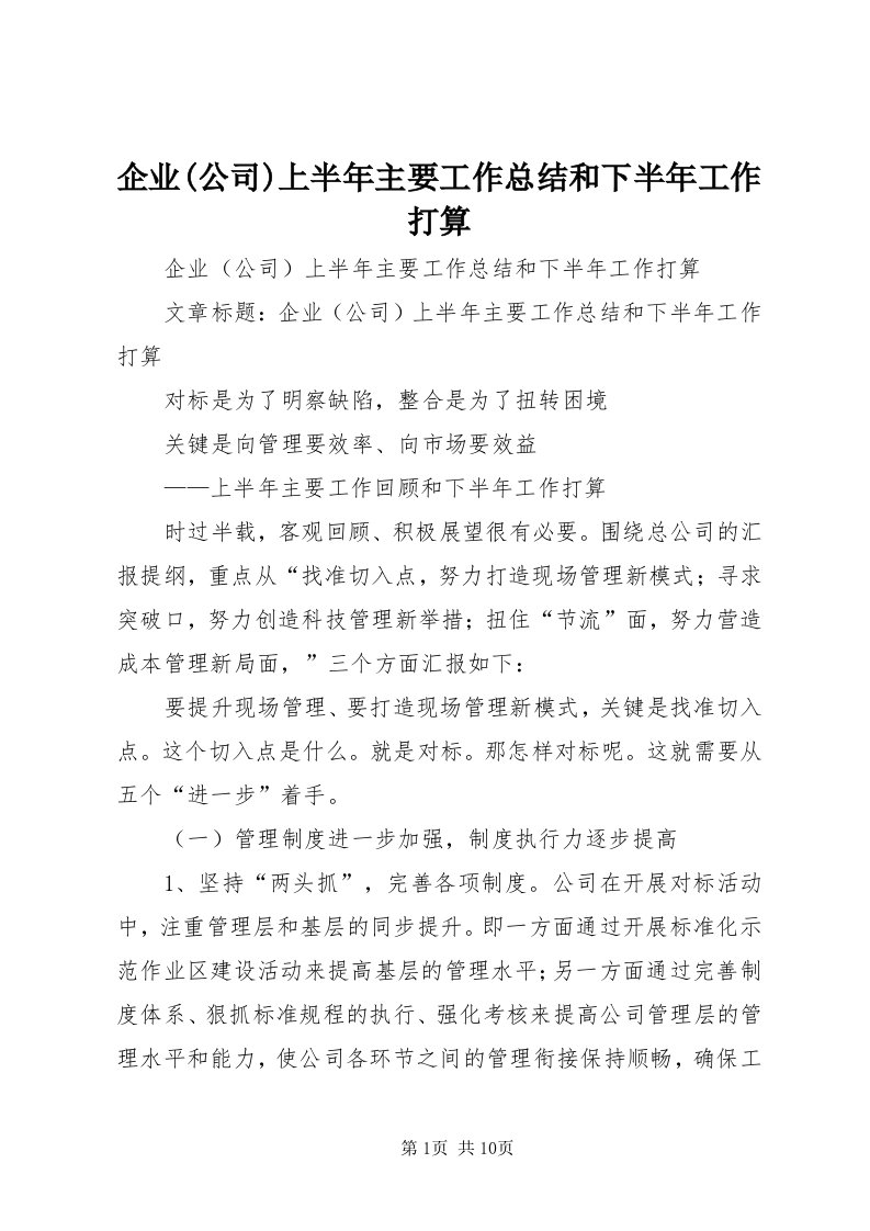 5企业(公司)上半年主要工作总结和下半年工作打算