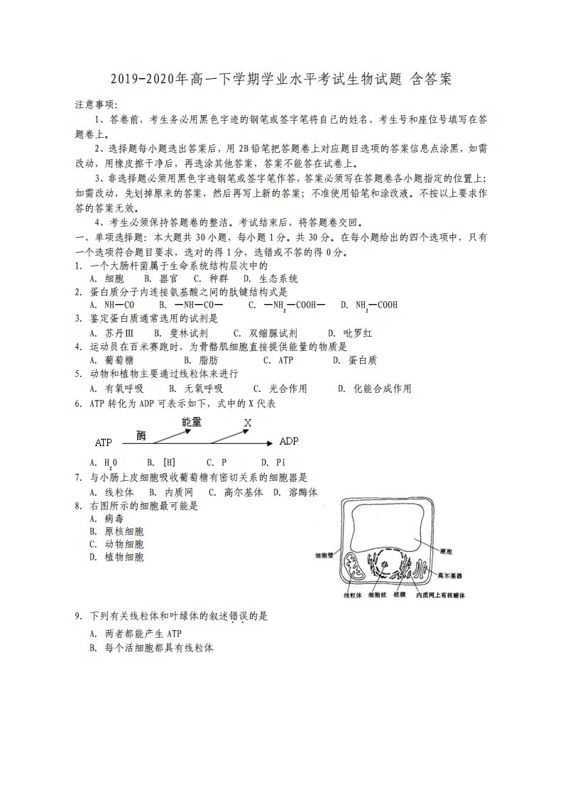 高一下学期学业水平考试生物试题含答案