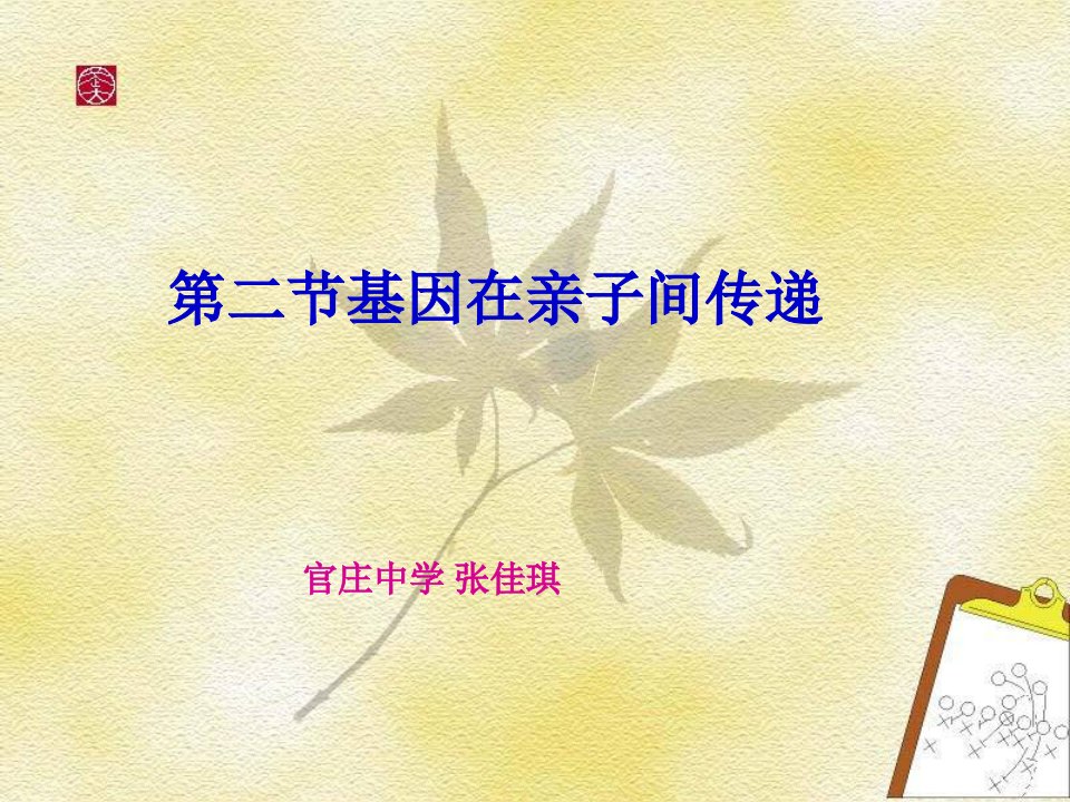 43833第二章第二节基因在亲子间传递