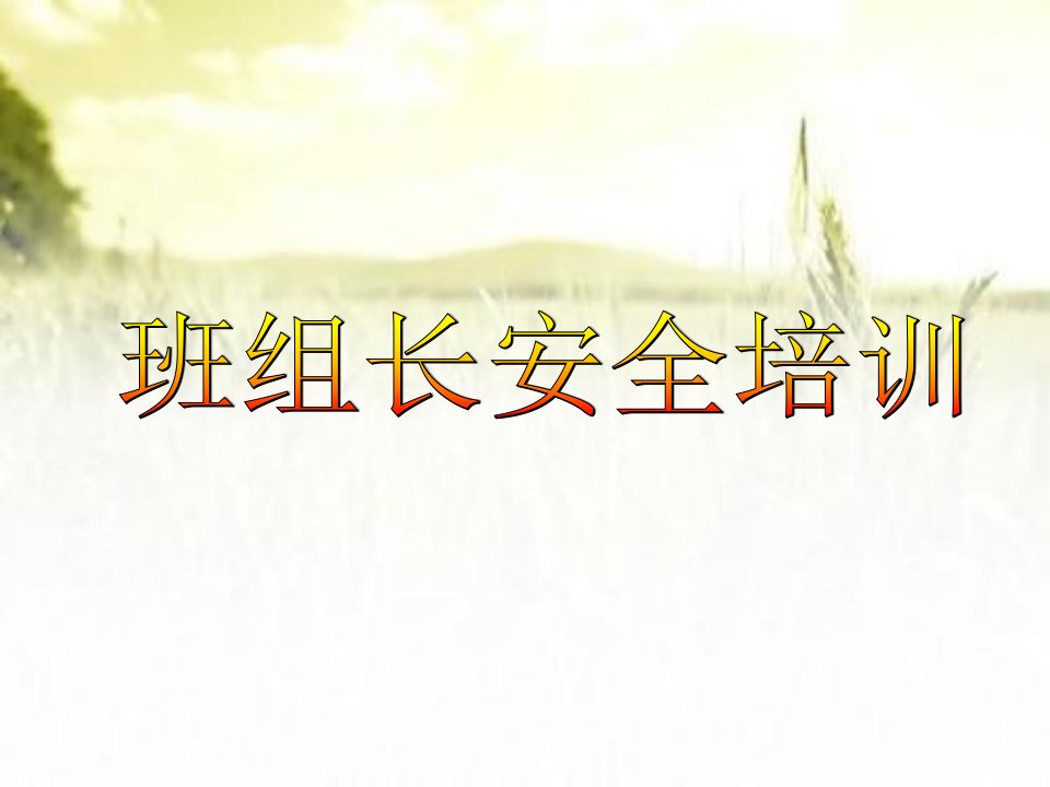 班组长安全培训(危害辨识与风险评估、风险控制)横向