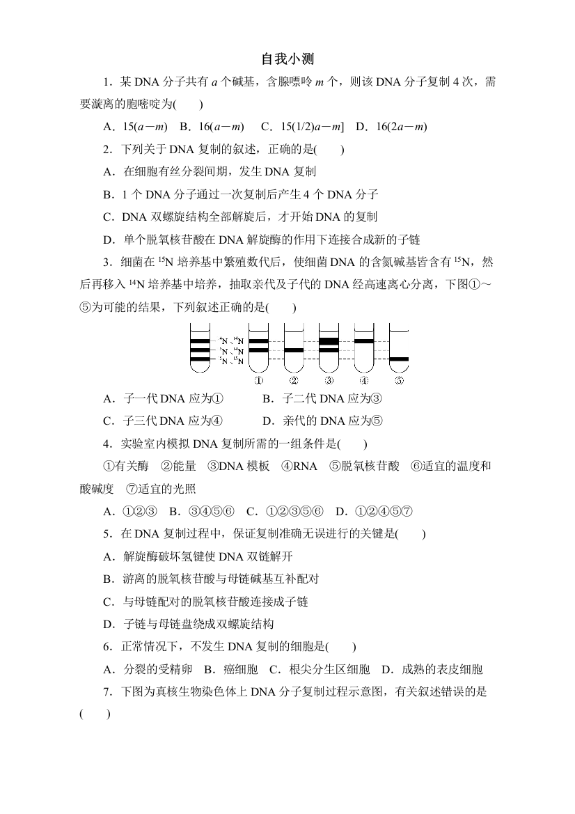 生物（中图版）必修二同步自我小测：DNA的复制