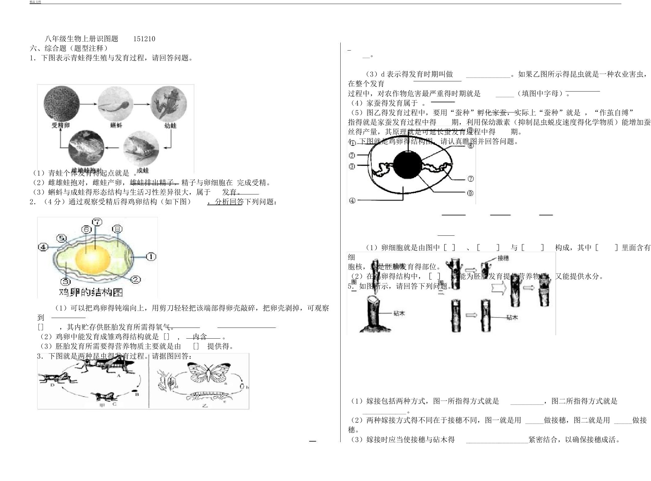 初中八年级教学生物下册--识图题