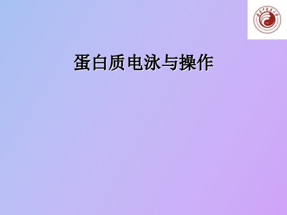 蛋白质电泳与操作