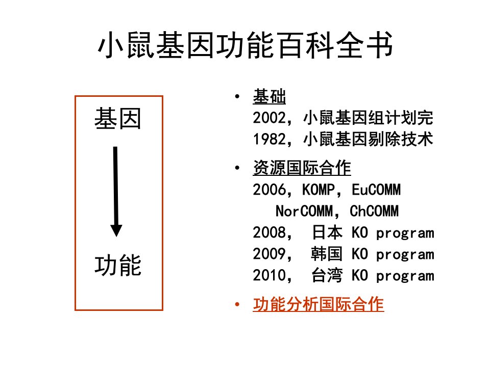 小鼠表型分析国际合作计划ppt课件