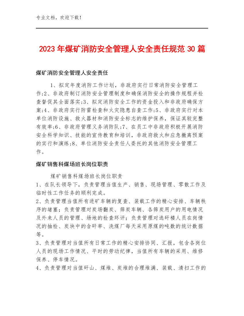 2023年煤矿消防安全管理人安全责任规范30篇