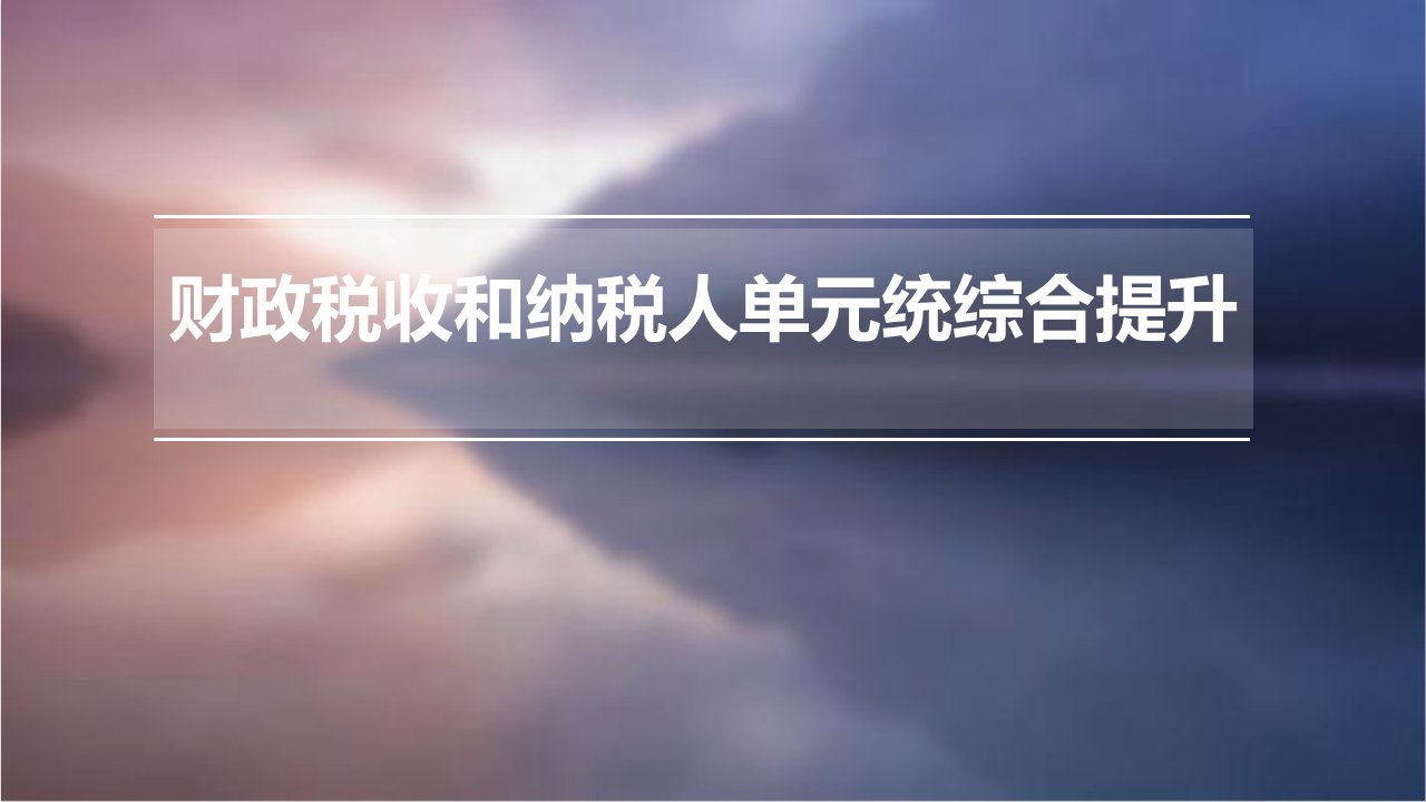 财政税收和纳税人单元统综合提升