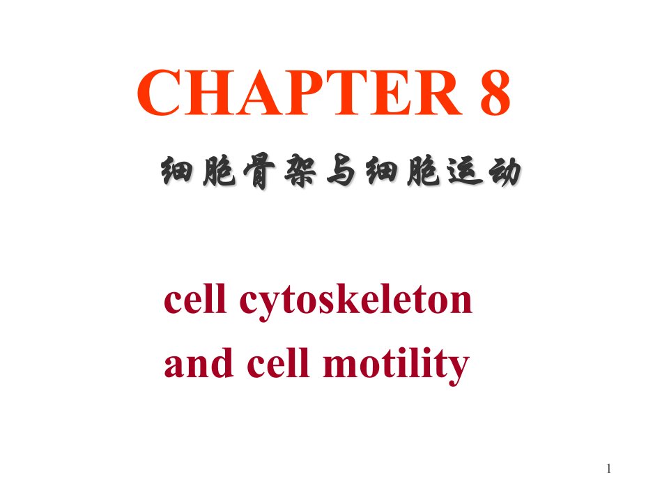 细胞生物学第八章细胞骨架与细胞运动