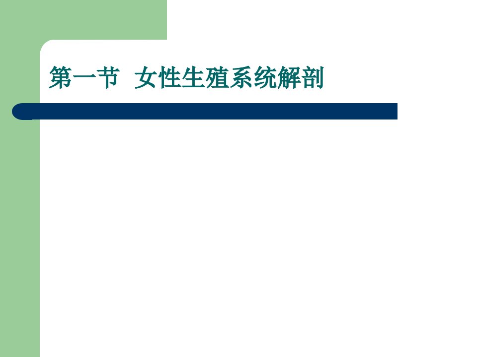 妇产科护理学课件第二章女性生殖系统解剖与生理