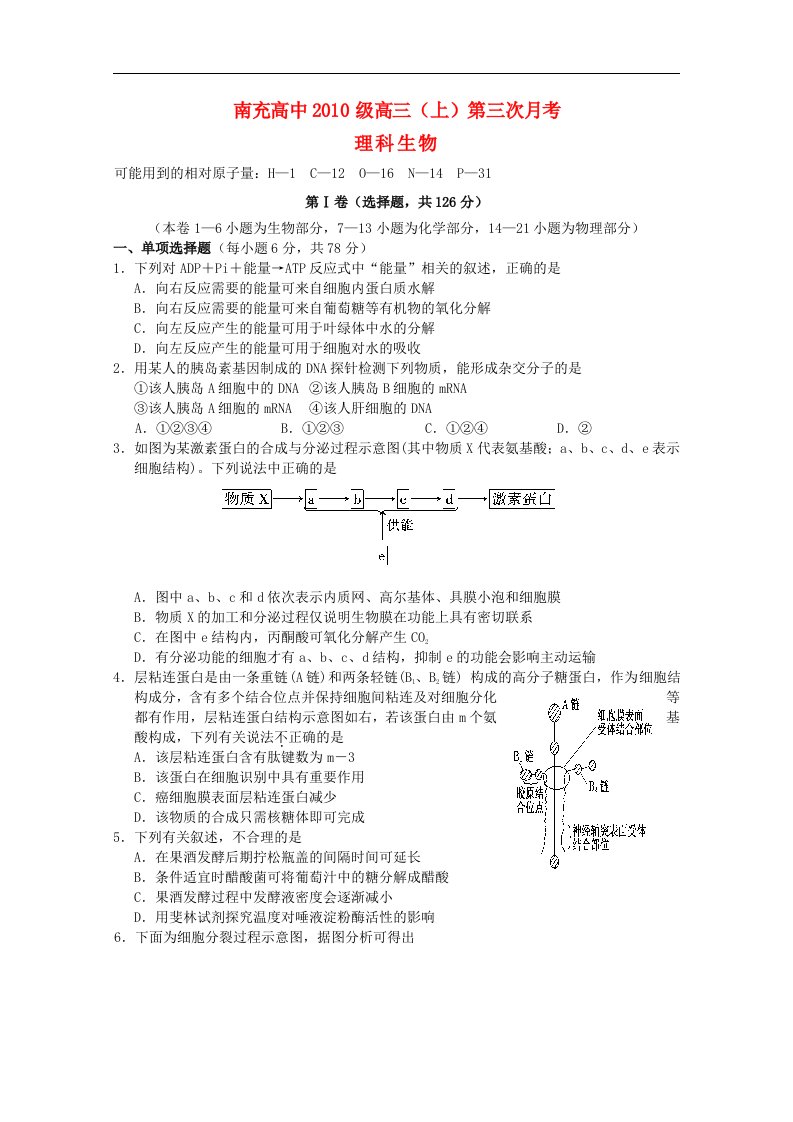 四川省南充高中高三生物上学期第三次月考（无答案）