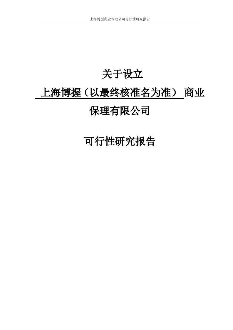 上海博握商业保理公司可行性研究报告