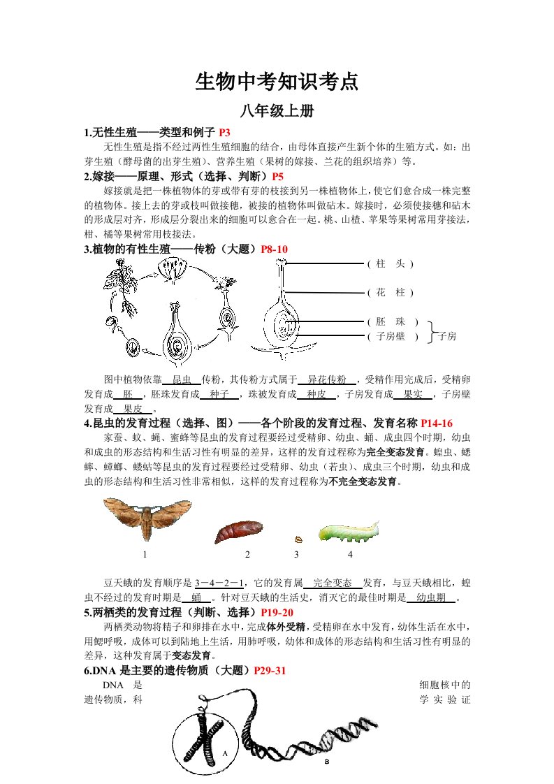 生物中考知识考点八年级上册Y