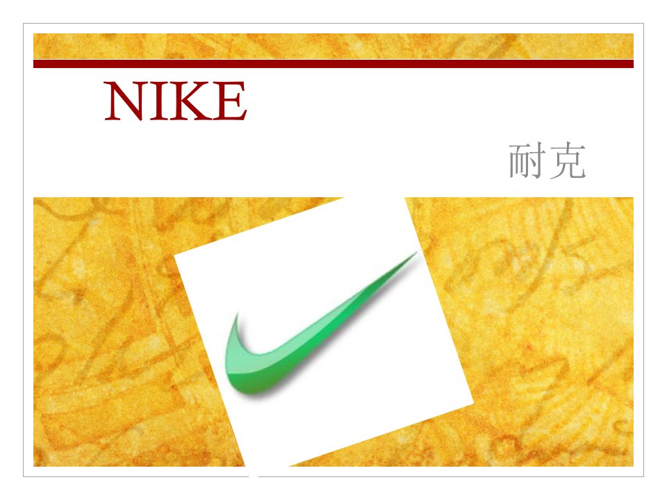 nike品牌研究