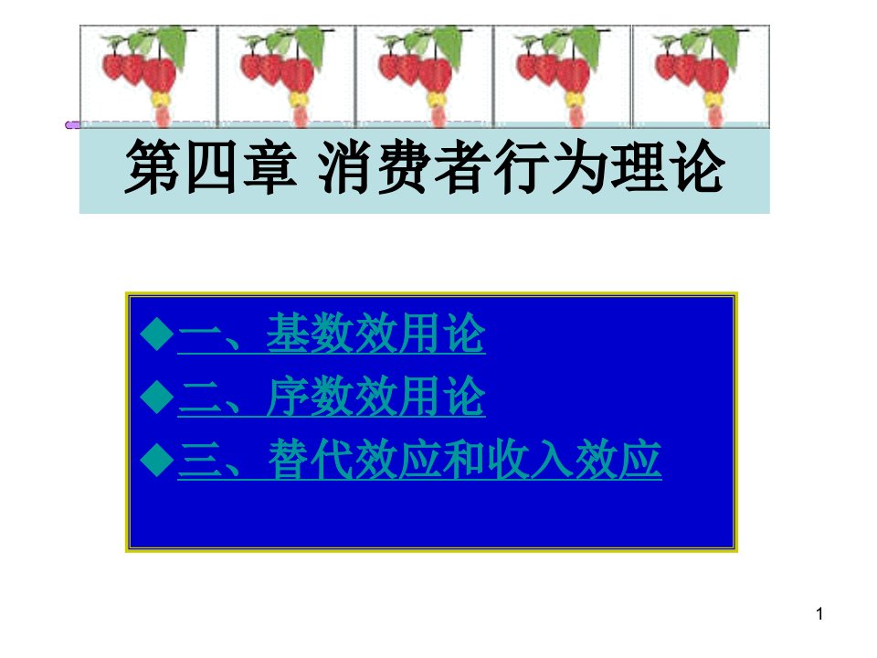 第四章消费者行为理论