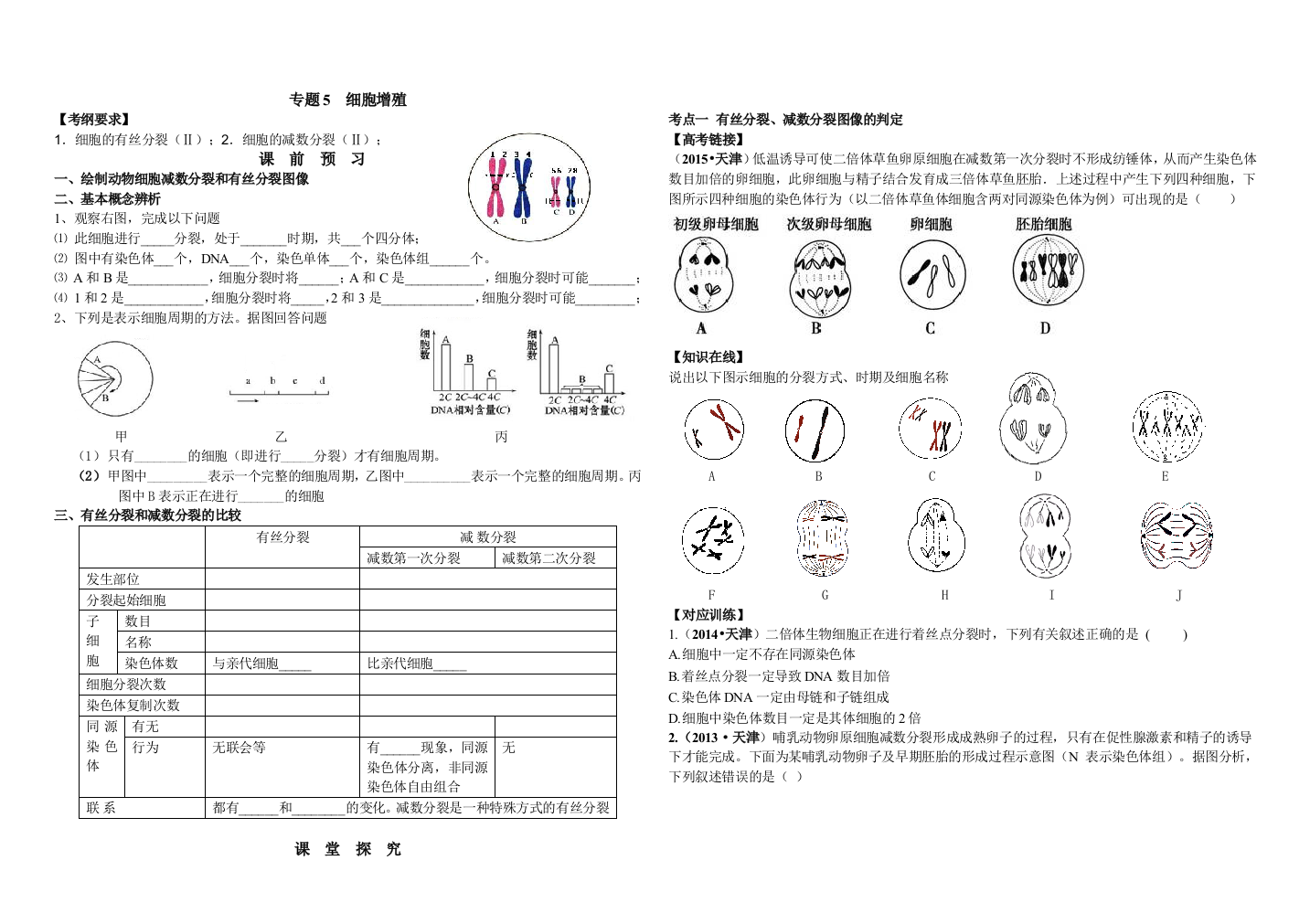 二轮复习学案细胞增殖