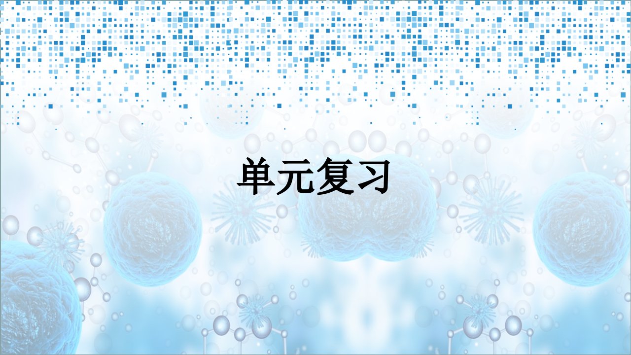 2023七年级生物上册第2单元生物体的结构单元复习课件新版北师大版